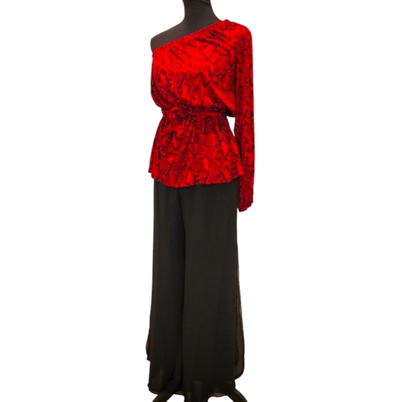 Dana Kay Sheer Palazzo Wide Leg Pants with Lining and Side Slits - Picture 3 of 12